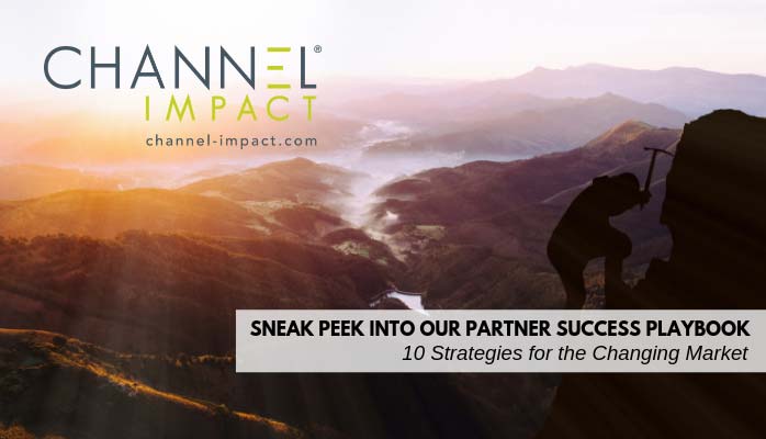 Partner Success Playbook graphic with canyon